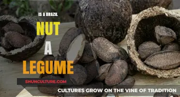 Is a Brazil Nut a Legume? Unraveling the Nutty Truth
