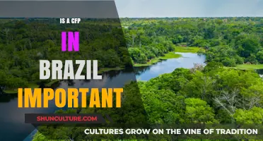 Unlocking Opportunities: The Significance of CFPs in Brazil's Academic Landscape