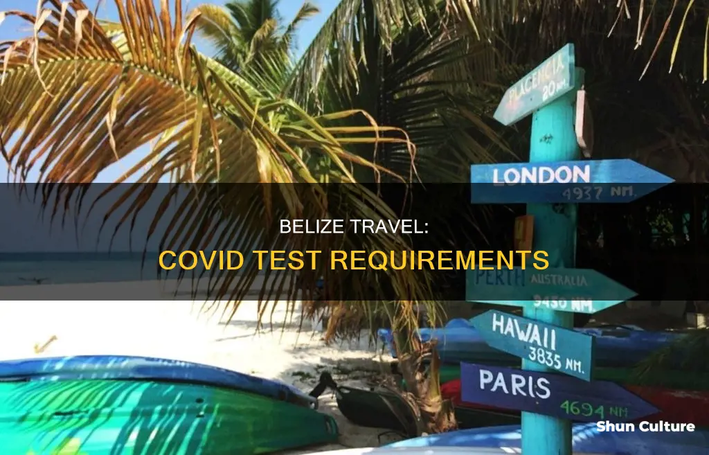 is a covid test required to enter belize