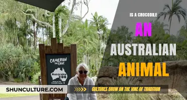 Crocodiles in Australia: Are They Native?