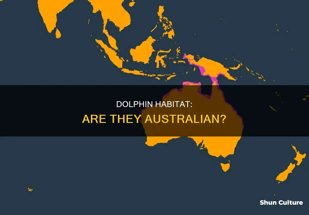 is a dolphin an australian animal