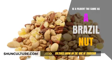 Filberts vs. Brazil Nuts: Unraveling the Nutty Confusion