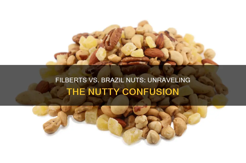 is a filbert the same as a brazil nut