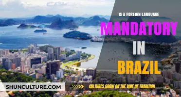 Language Learning in Brazil: Is Fluency in a Foreign Tongue Mandatory?