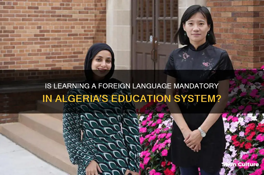 is a foreign language mandatory to learn in algeria