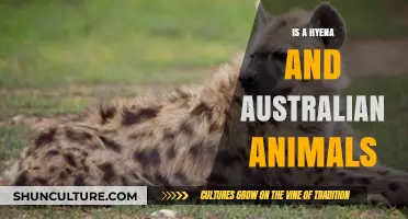 Hyenas: Aussie Animals or Not?