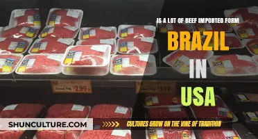 Exploring the Origins of US Beef Imports: A Focus on Brazil