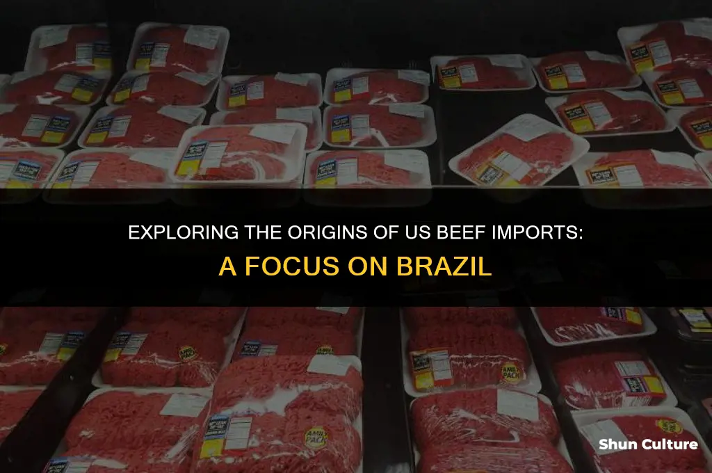 is a lot of beef imported form brazil in usa