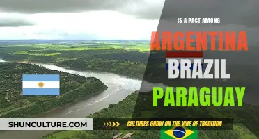 Uniting Forces: Argentina, Brazil, and Paraguay Forge Strategic Pact