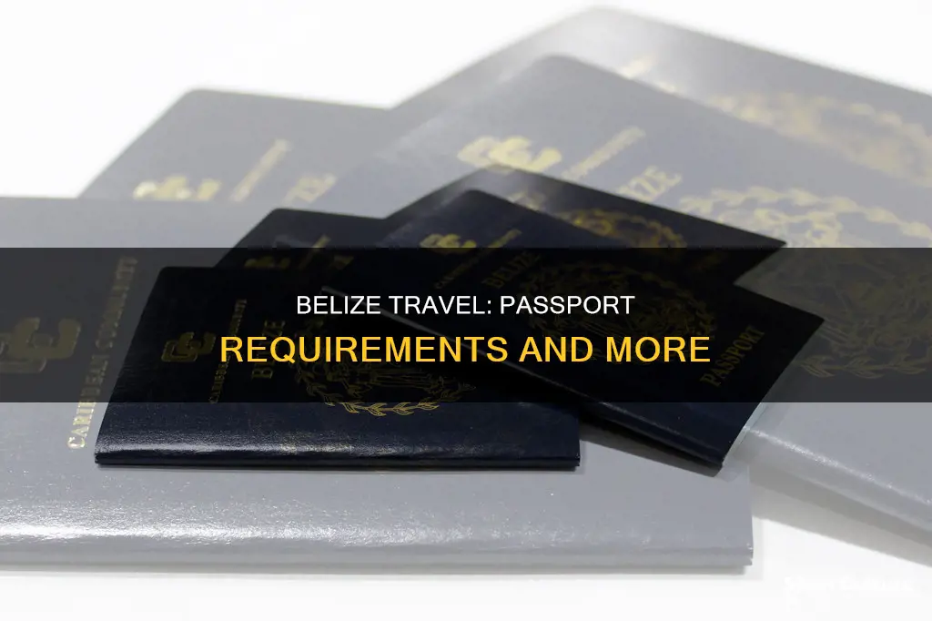 is a passport required for beliz