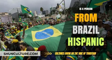 Exploring Cultural Identities: Is a Person from Brazil Hispanic?