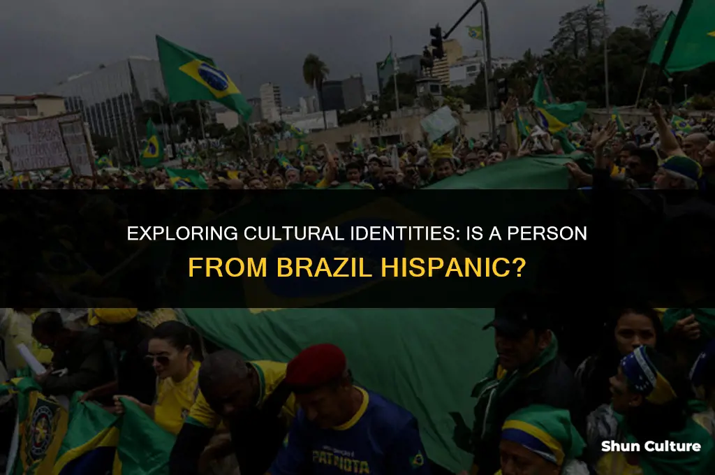 is a person from brazil hispanic