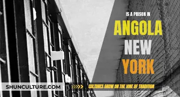 Angola, New York: A Prison and Its History