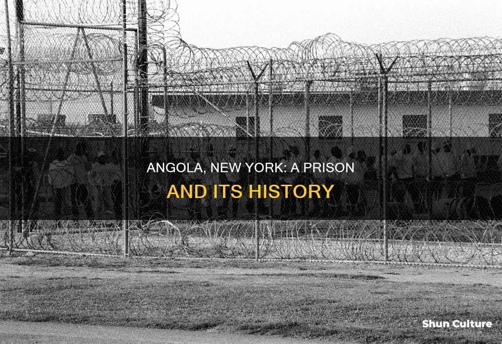 is a prison in angola new york