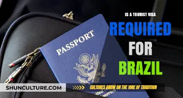 Do You Need a Tourist Visa for Brazil? Essential Travel Info