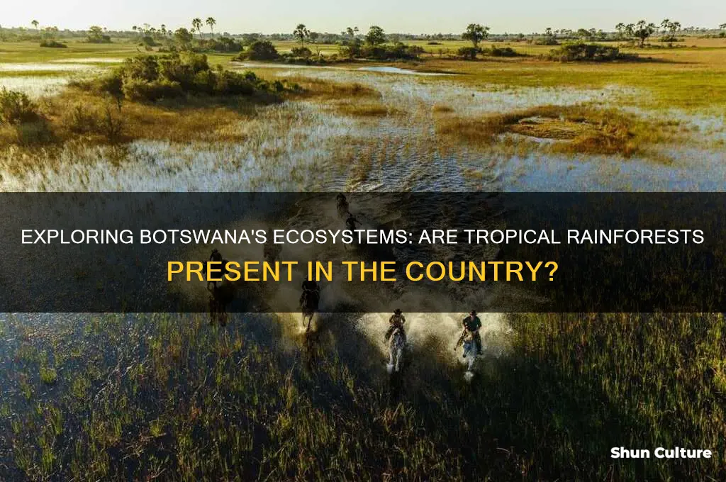 is a tropical rainforest found in botswana