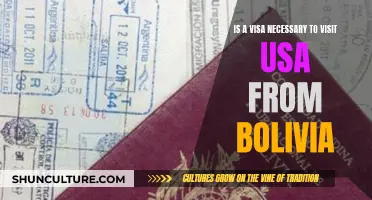 Visa Requirements for US Travel from Bolivia