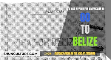 Do Americans Need a Visa to Enter Belize?