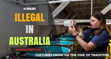 Abalone in Australia: Legal or Not?
