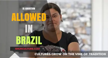 Understanding Abortion Laws and Rights in Brazil: A Comprehensive Guide