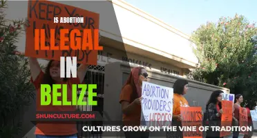 Belize's Abortion Laws: Understanding the Legal Landscape