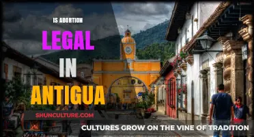 Abortion Laws in Antigua: Understanding Legal Status and Regulations