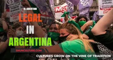 Exploring the Legal Landscape of Abortion in Argentina