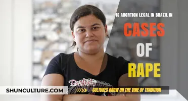 Understanding Abortion Laws in Brazil: Rape Cases Explained