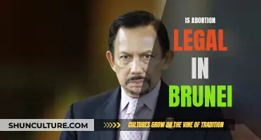 Brunei's Abortion Laws: Understanding the Complexities