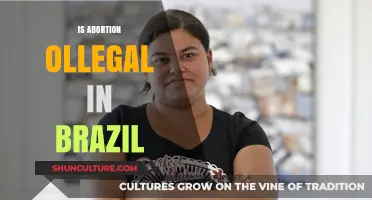 Understanding Abortion Laws in Brazil: A Comprehensive Overview