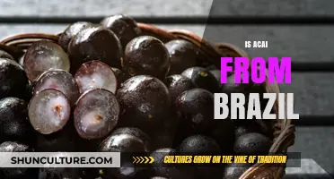 Exploring the Origins: Is Acai Truly from Brazil?