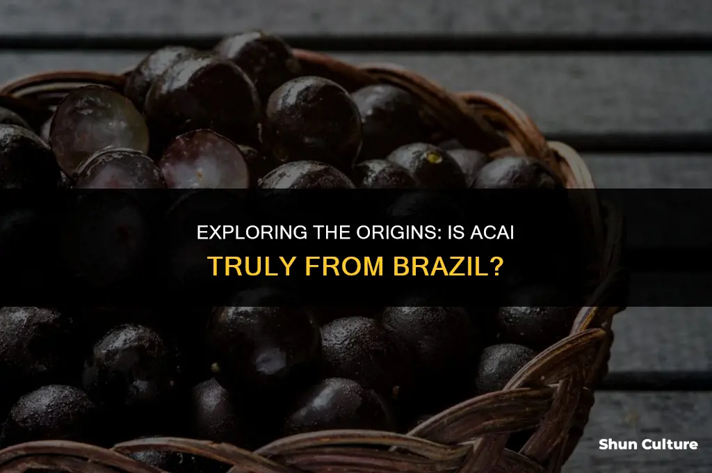 is acai from brazil