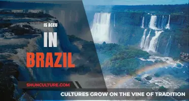 Exploring the ACEU Presence in Brazil: A Comprehensive Overview