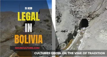 Acid in Bolivia: What's the Legal Status?