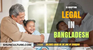 Is Adoption Legal in Bangladesh? Understanding the Legal Framework