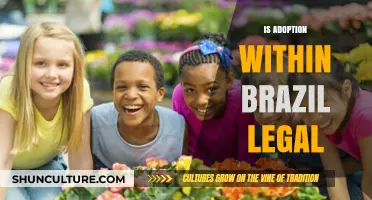 Exploring the Legal Landscape of Adoption in Brazil
