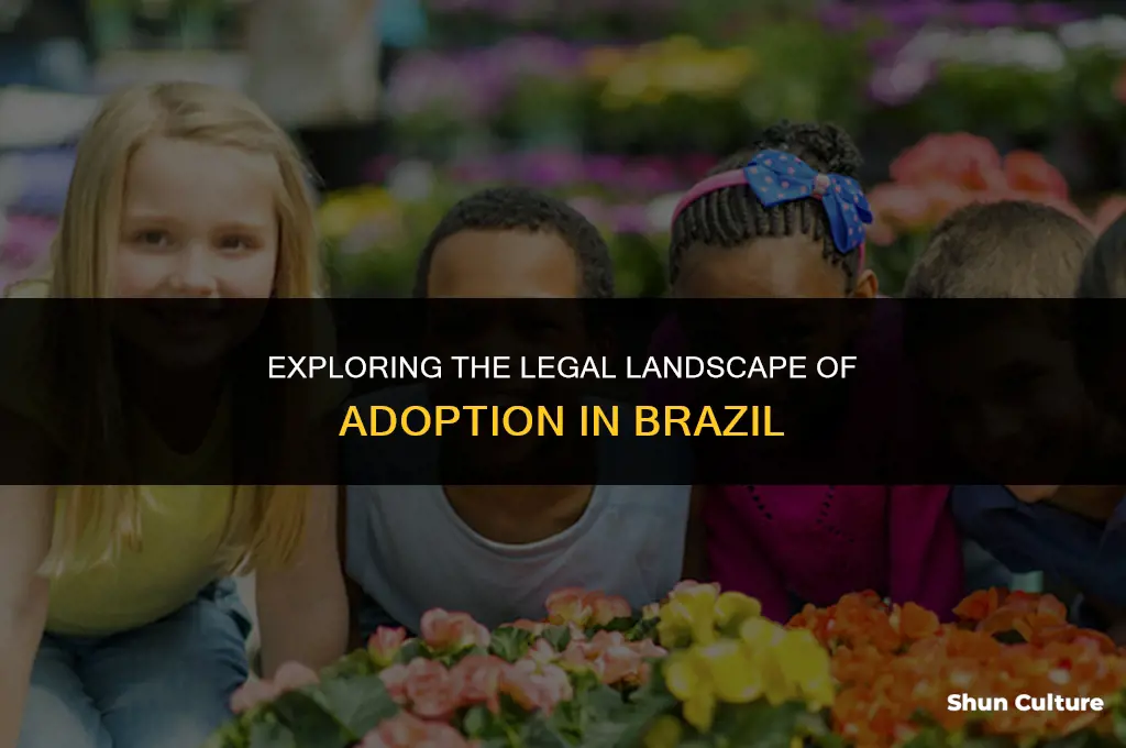 is adoption within brazil legal