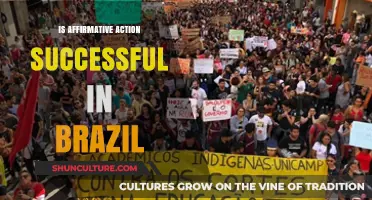 Assessing Affirmative Action's Impact in Brazil: A Comprehensive Review