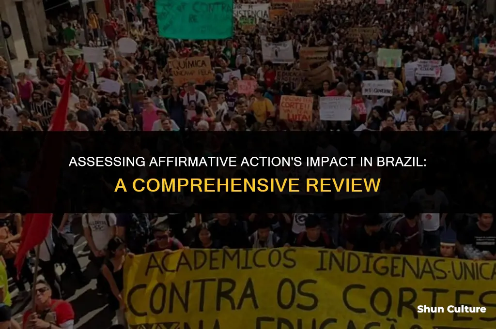 is affirmative action successful in brazil