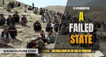 The Fragile Fabric of Afghanistan: Navigating the Narrative of a Failing State