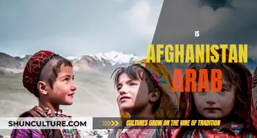 The Complex Cultural Identity of Afghanistan: Unraveling Its Arab Influence