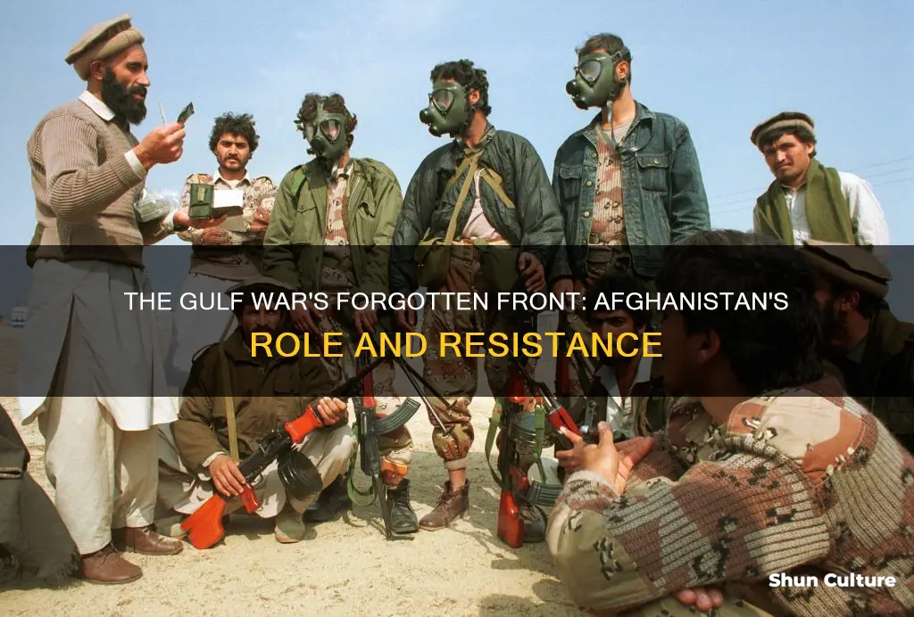 is afghanistan in gulf war