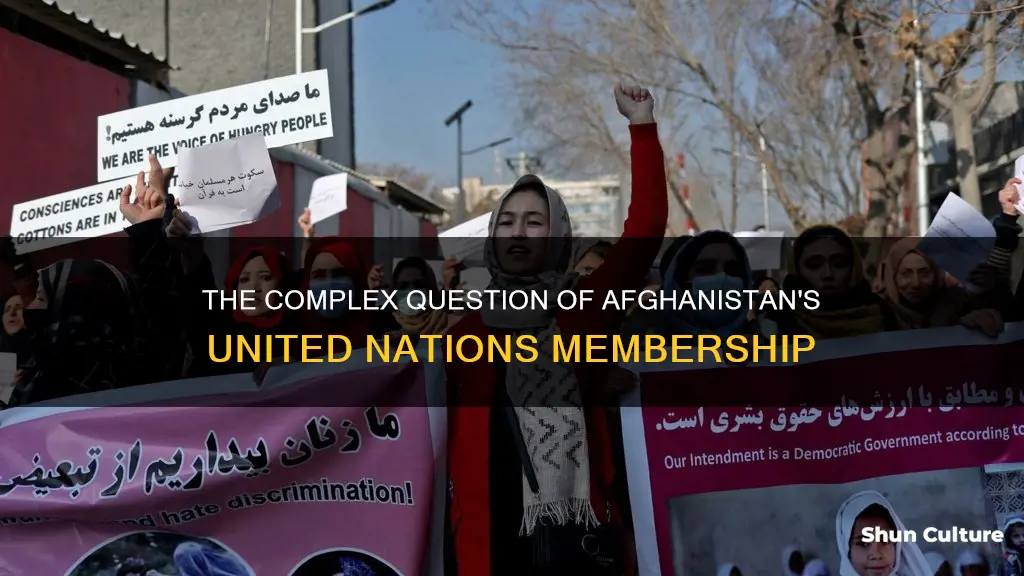 is afghanistan in the united nations