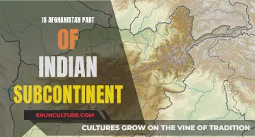 The Complex Geopolitical Identity of Afghanistan: Exploring Its Place in the Indian Subcontinent