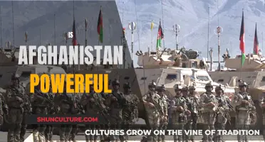 The Uncertain Power Dynamics of Afghanistan: A Nation in Transition