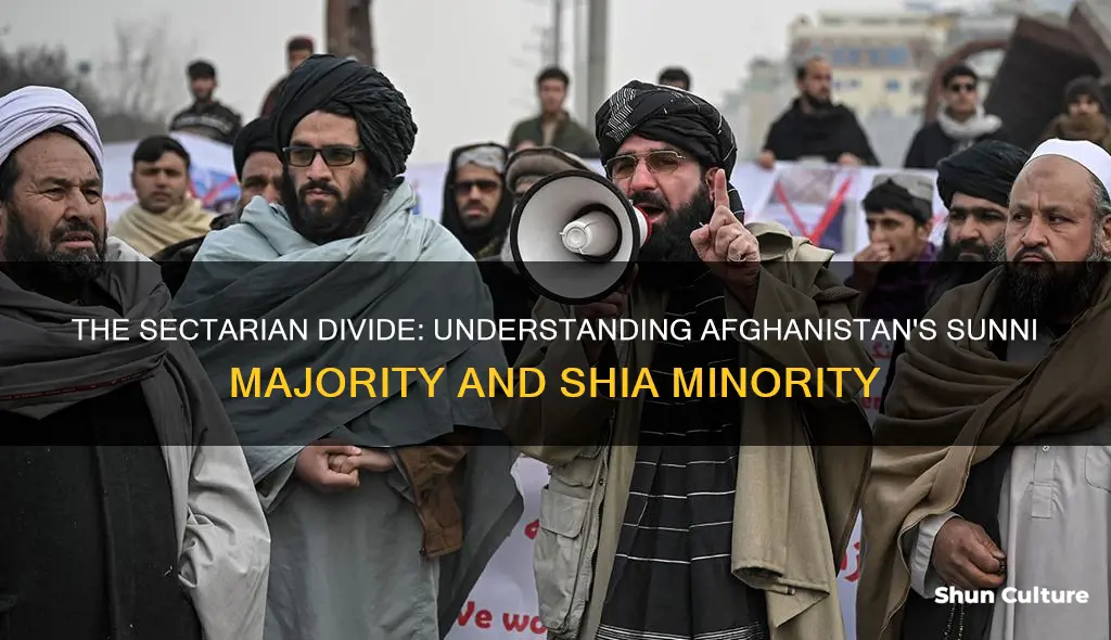 is afghanistan shia or sunni