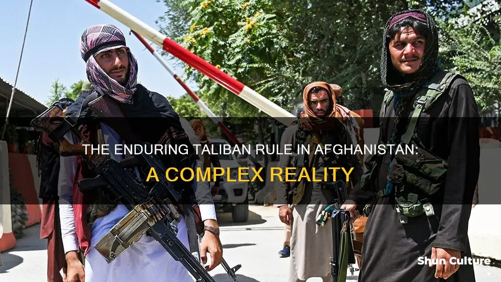 is afghanistan still under the taliban