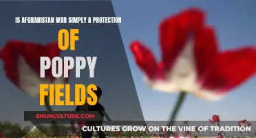 The Opium Wars: Afghanistan's Conflict and the Poppy Fields