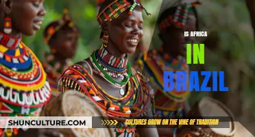 Exploring African Influences in Brazil: A Cultural Journey
