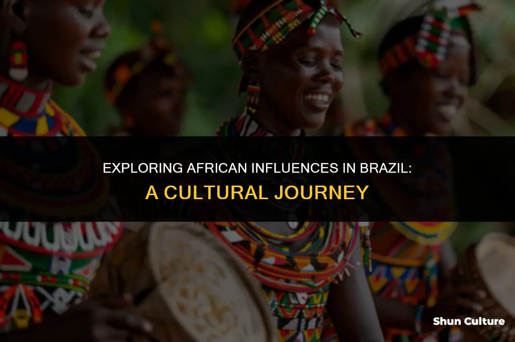 is africa in brazil